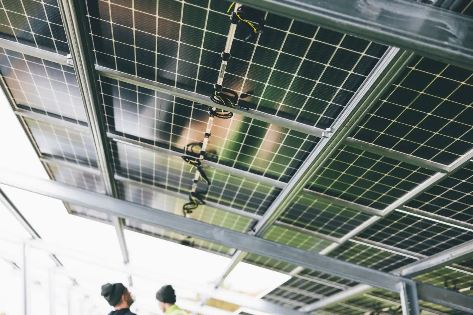 2025年有机农业绿色种植技术规范更新要点解析