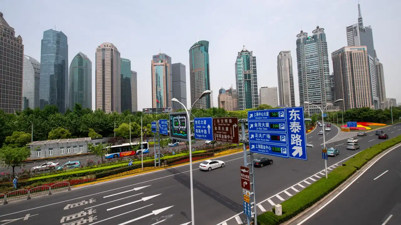沭阳有机种植技术要点与绿色防控方案解析