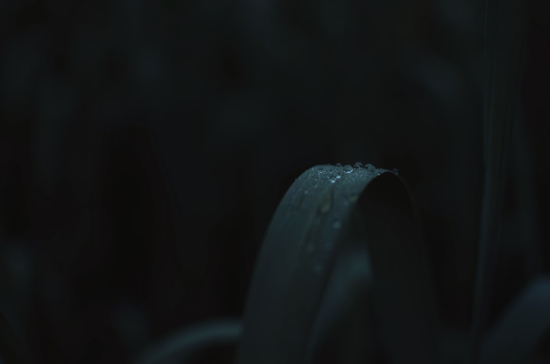 生态农业产品线对比：有机种植与常规种植的投入产出分析